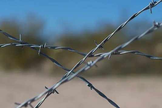 Колючая проволока