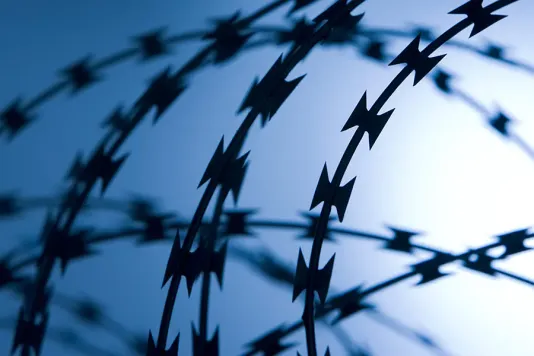 Колючая проволока Егоза