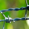 Проволока колючая двухосновная: особенности и применение